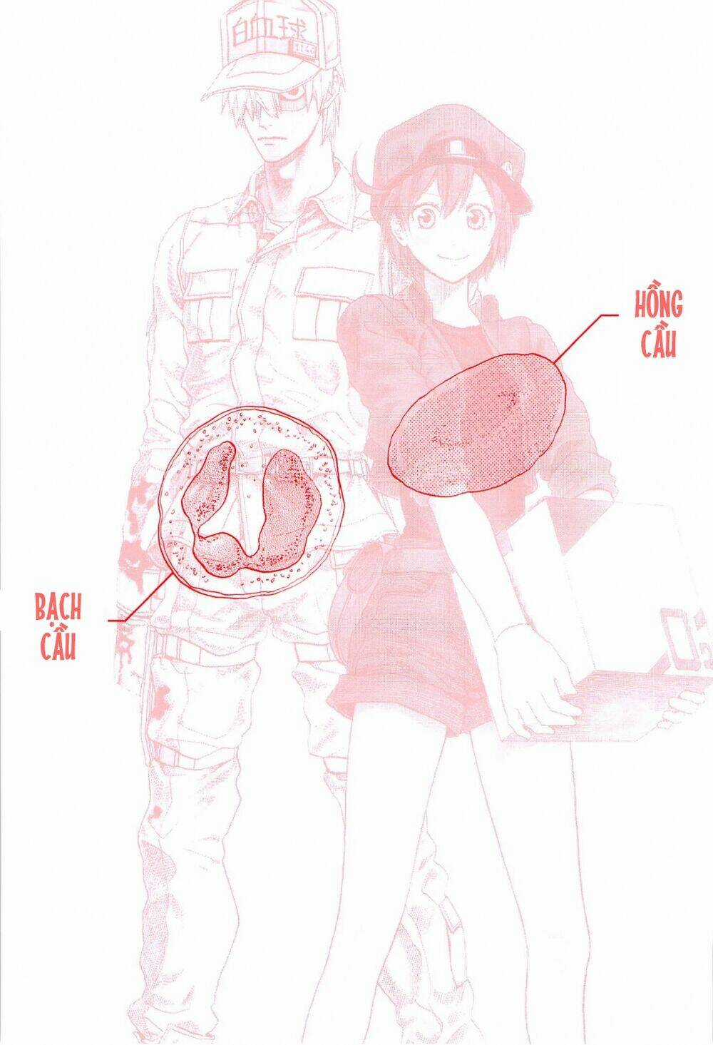 Hataraku Saibou! Chapter 1 trang 4