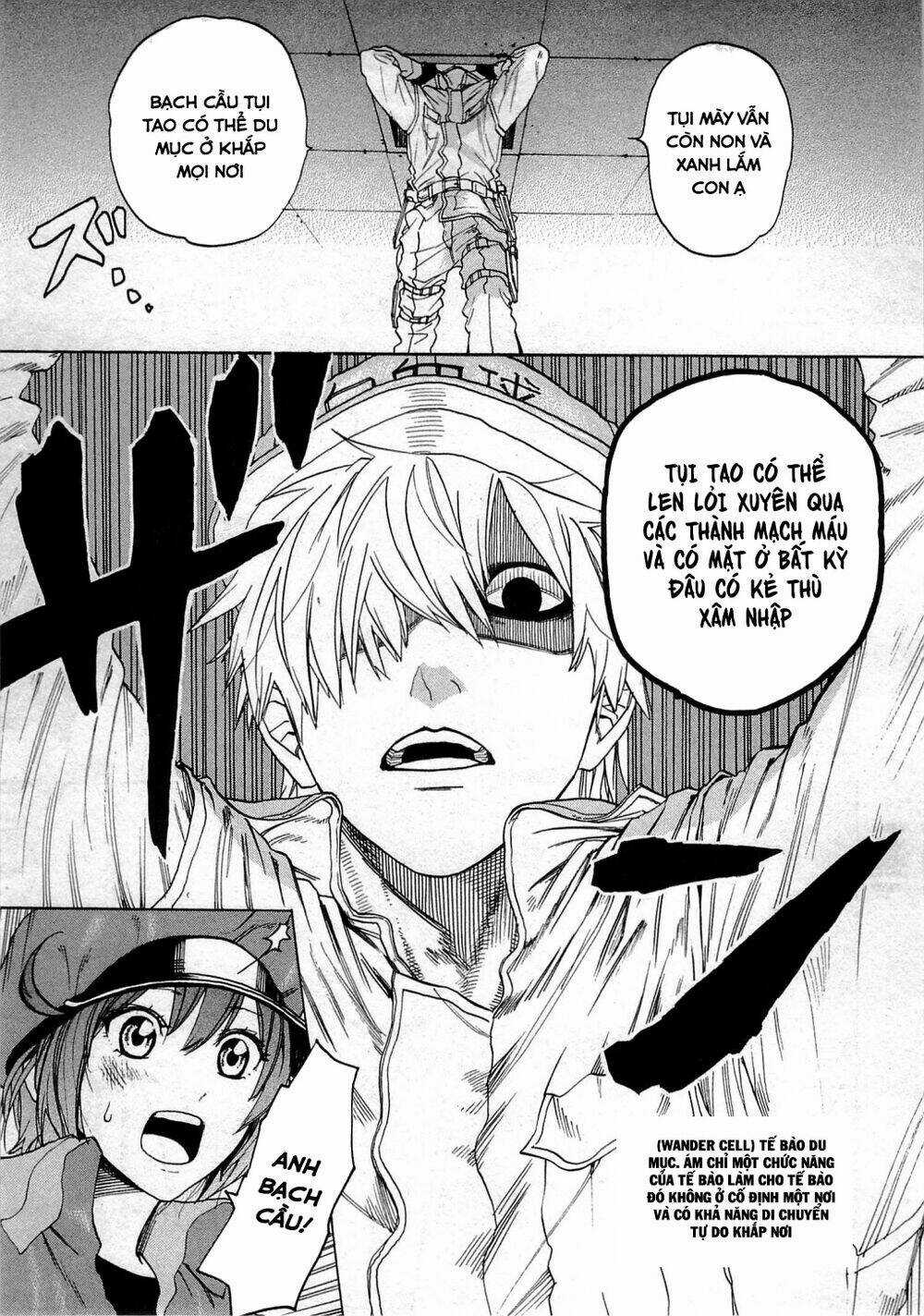 Hataraku Saibou! Chapter 1 trang 42