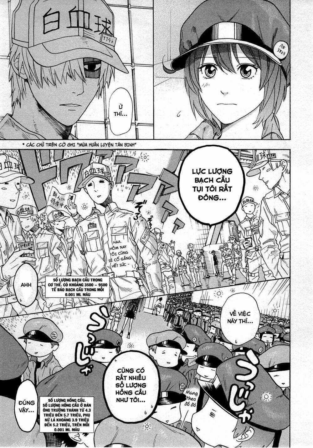 Hataraku Saibou! Chapter 1 trang 60