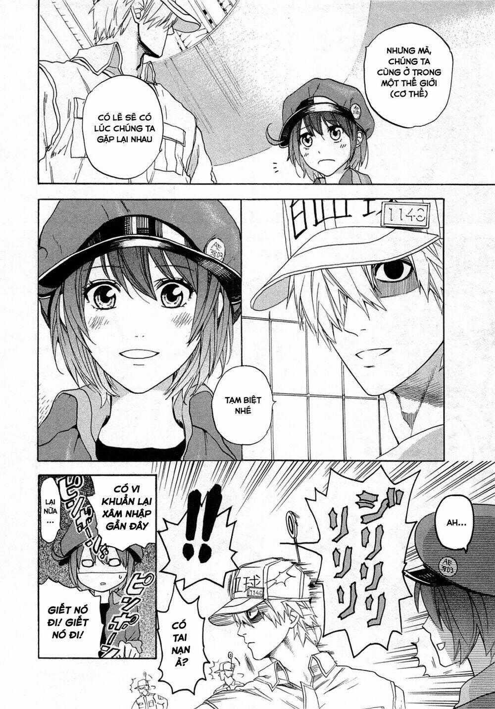 Hataraku Saibou! Chapter 1 trang 61