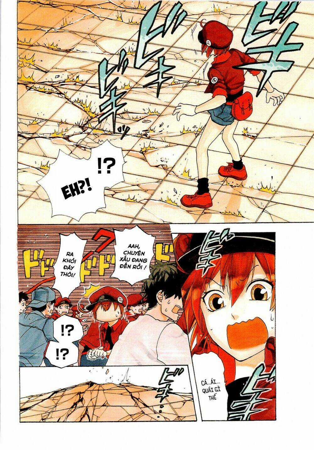 Hataraku Saibou! Chapter 1 trang 7