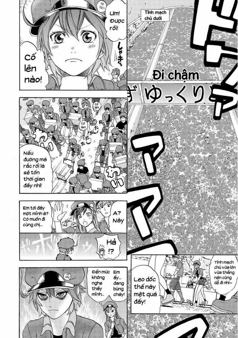 Hataraku Saibou! Chapter 10 trang 11