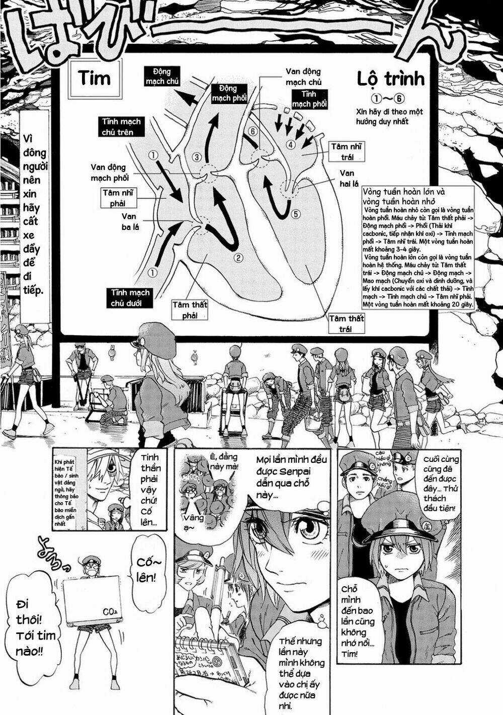 Hataraku Saibou! Chapter 10 trang 12