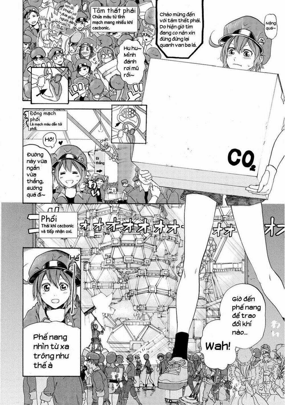 Hataraku Saibou! Chapter 10 trang 14