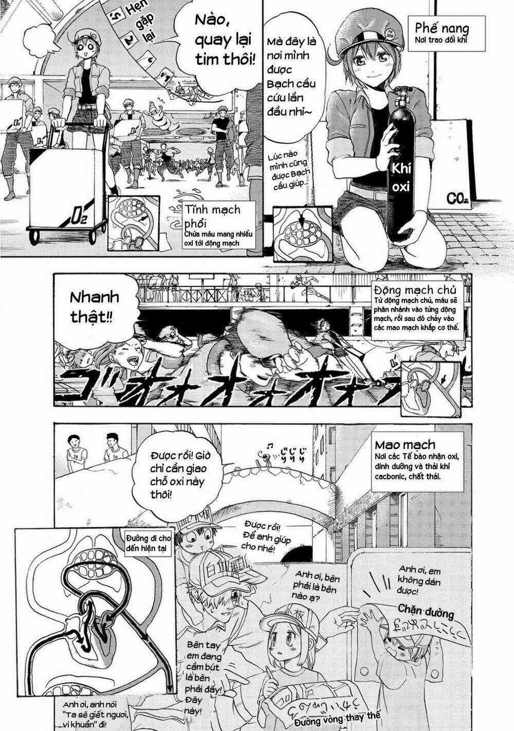 Hataraku Saibou! Chapter 10 trang 15