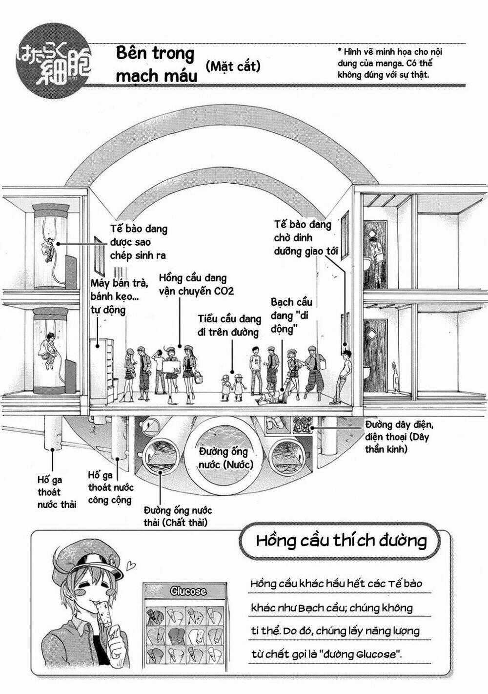 Hataraku Saibou! Chapter 10 trang 25
