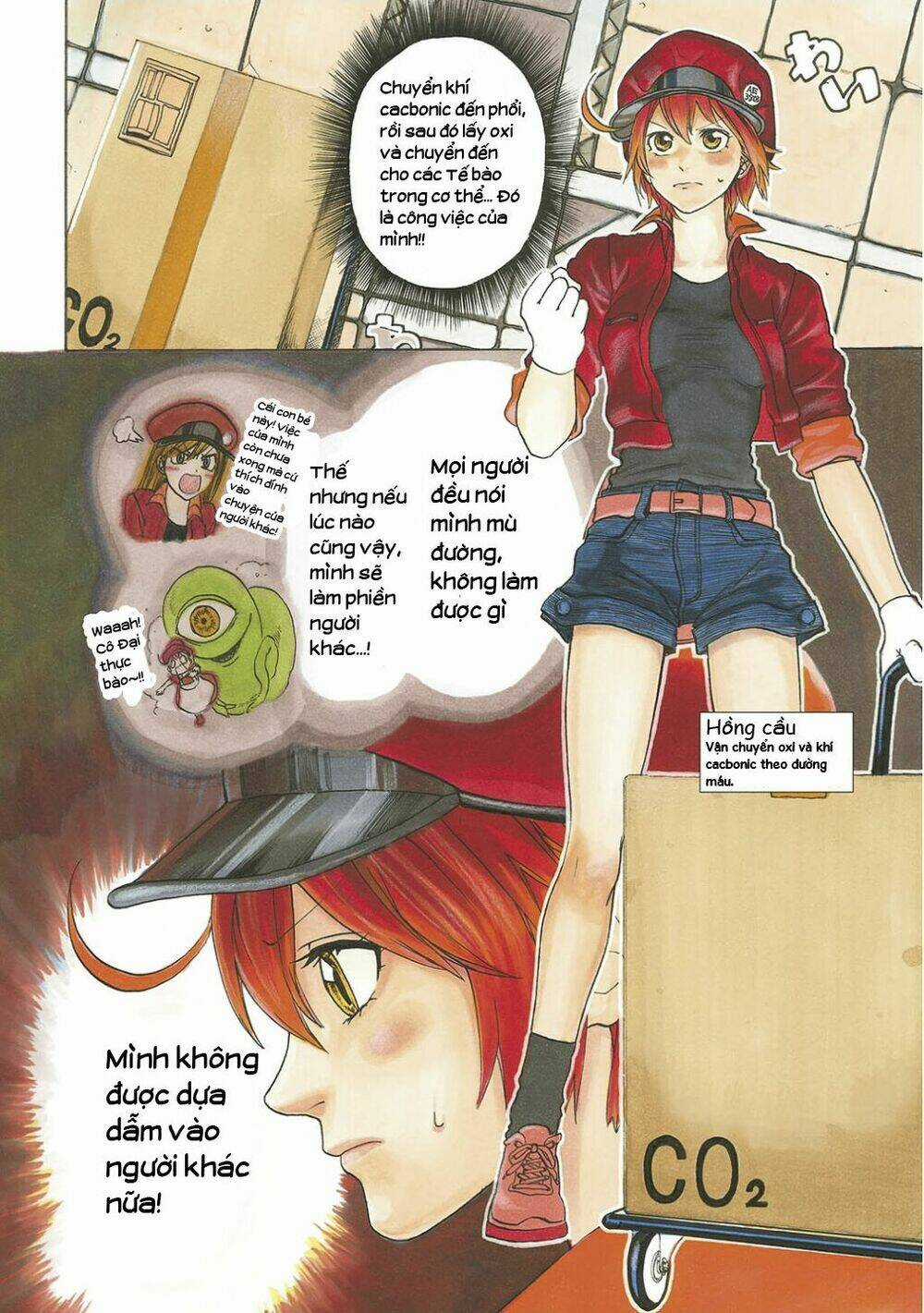 Hataraku Saibou! Chapter 10 trang 3