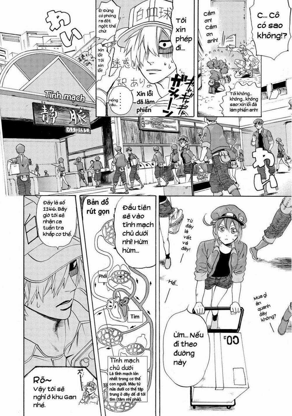 Hataraku Saibou! Chapter 10 trang 9