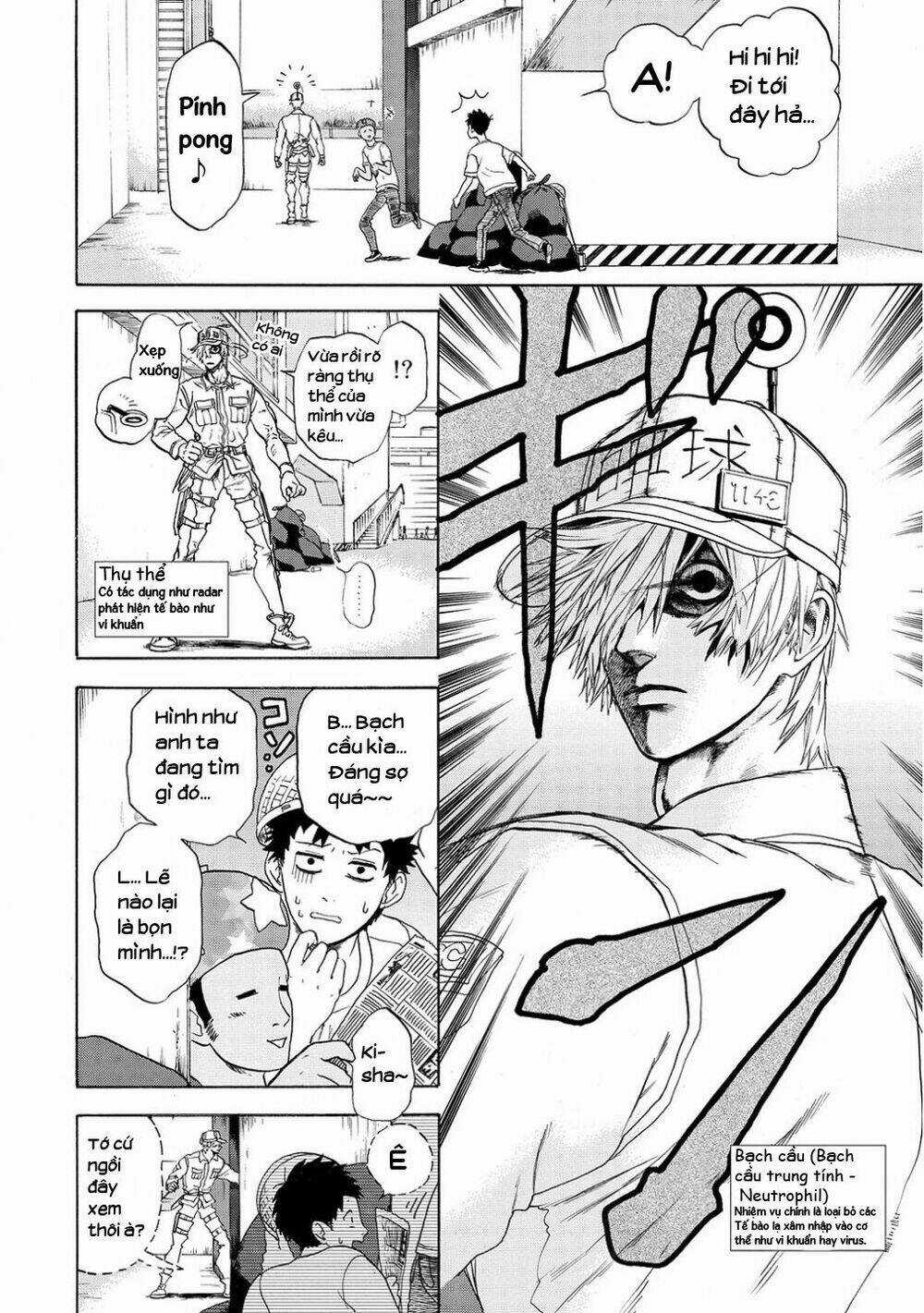 Hataraku Saibou! Chapter 11 trang 10