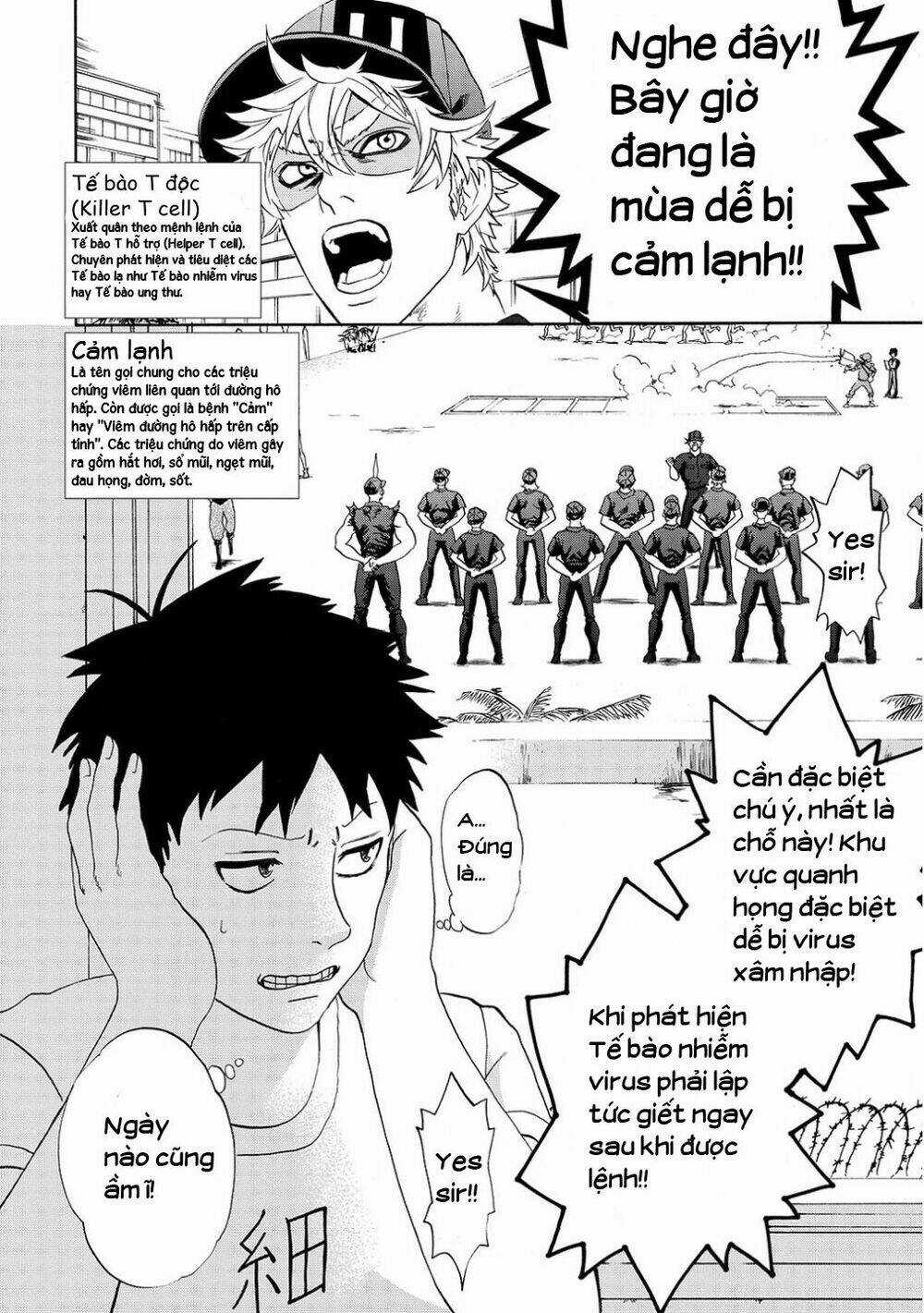 Hataraku Saibou! Chapter 11 trang 2