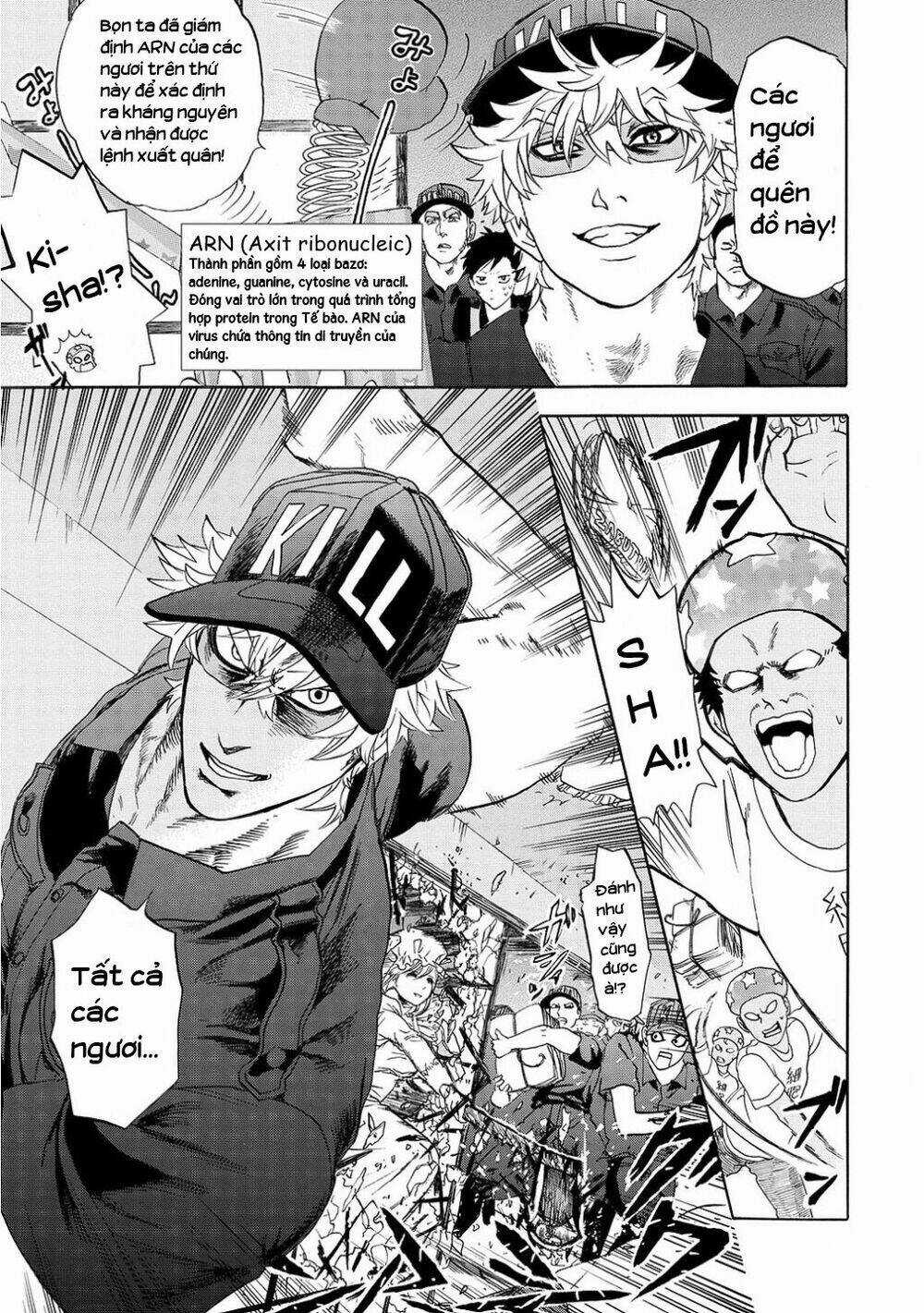 Hataraku Saibou! Chapter 11 trang 22