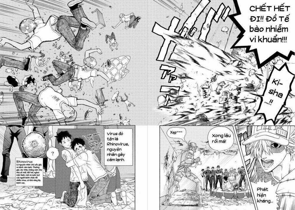 Hataraku Saibou! Chapter 11 trang 23