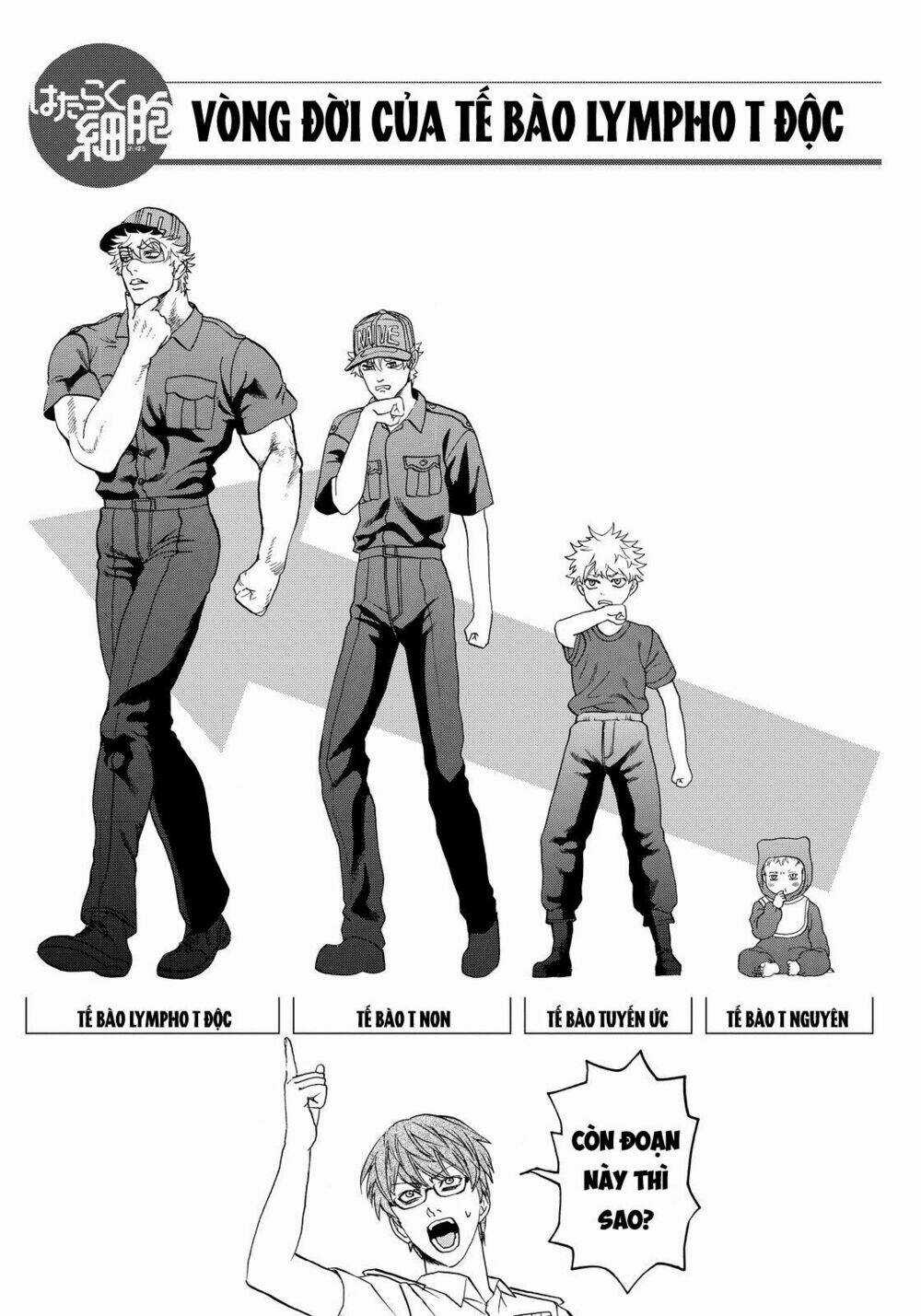 Hataraku Saibou! Chapter 12 trang 34