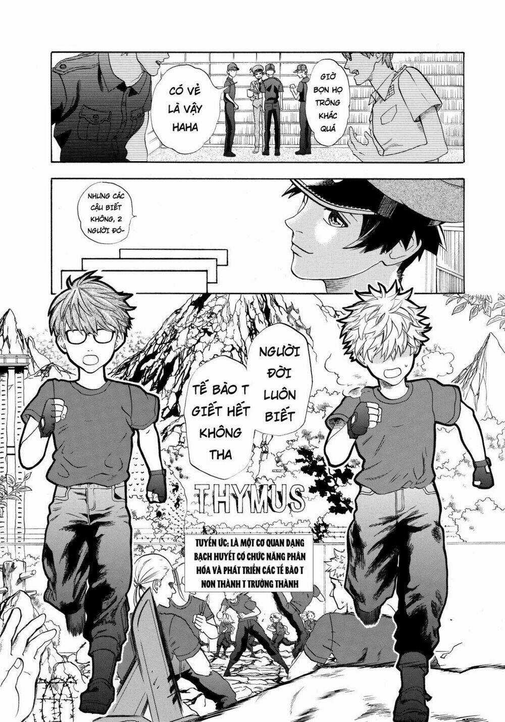 Hataraku Saibou! Chapter 12 trang 6