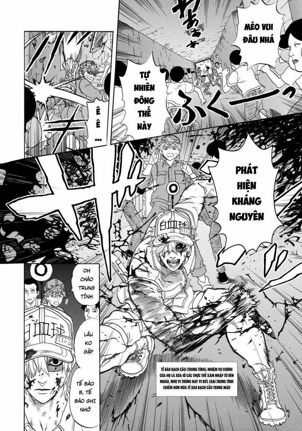 Hataraku Saibou! Chapter 13 trang 7