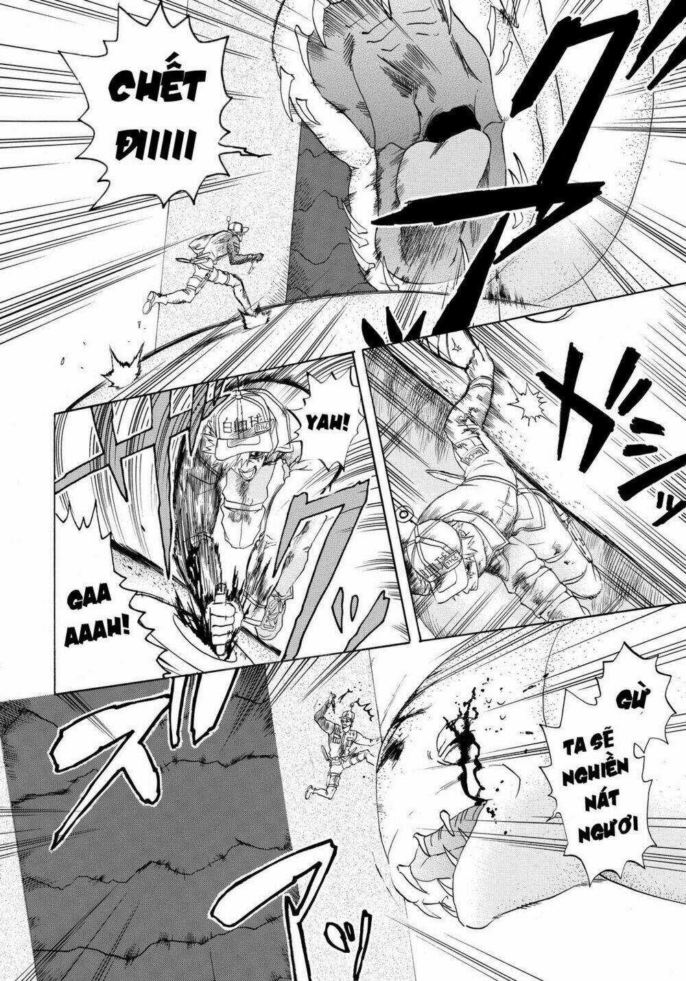 Hataraku Saibou! Chapter 14 trang 13