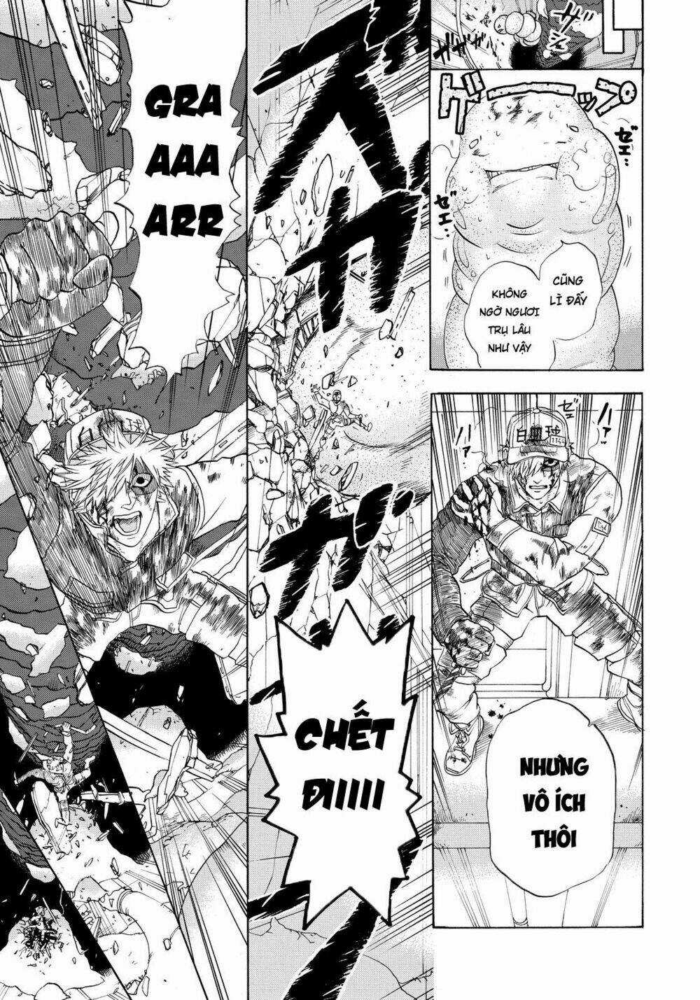 Hataraku Saibou! Chapter 14 trang 20