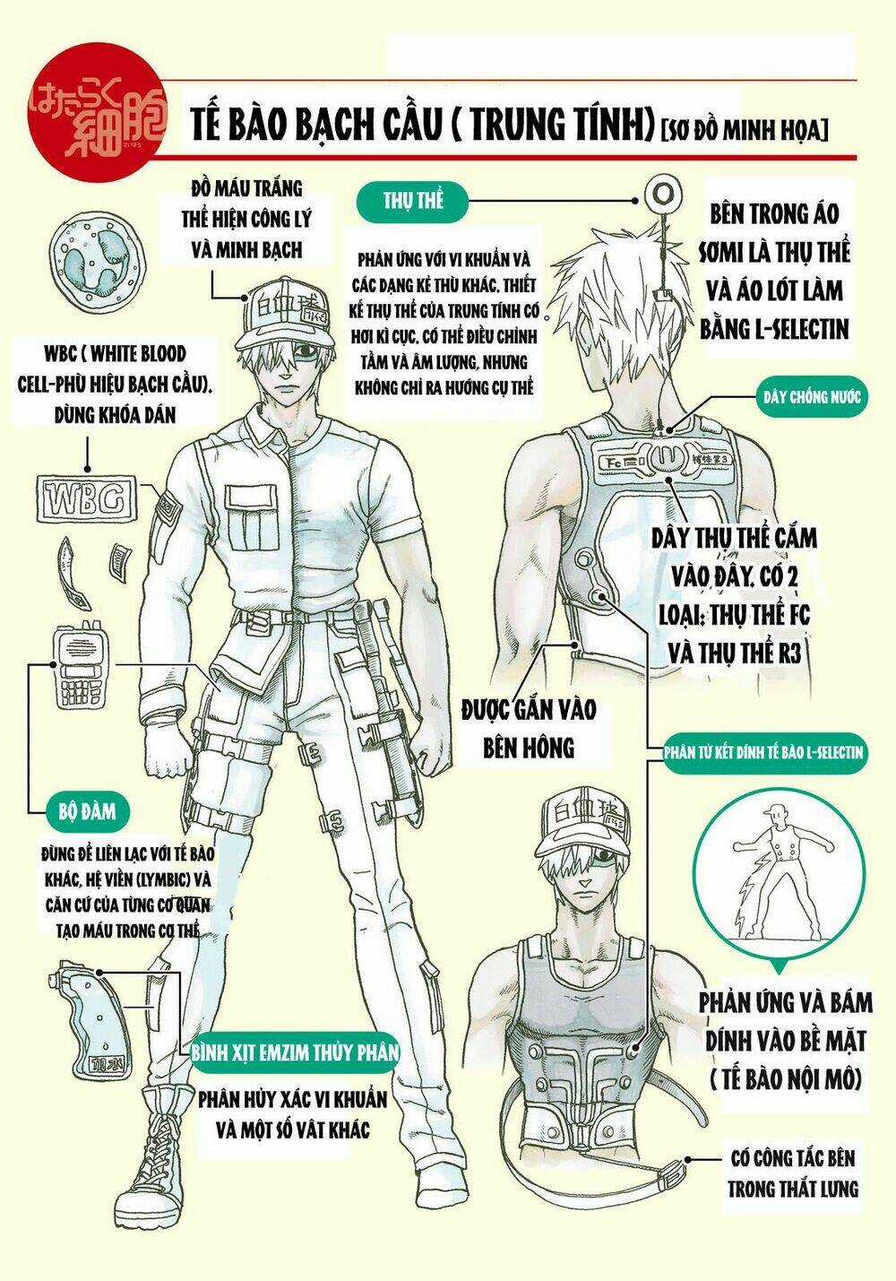 Hataraku Saibou! Chapter 14 trang 32