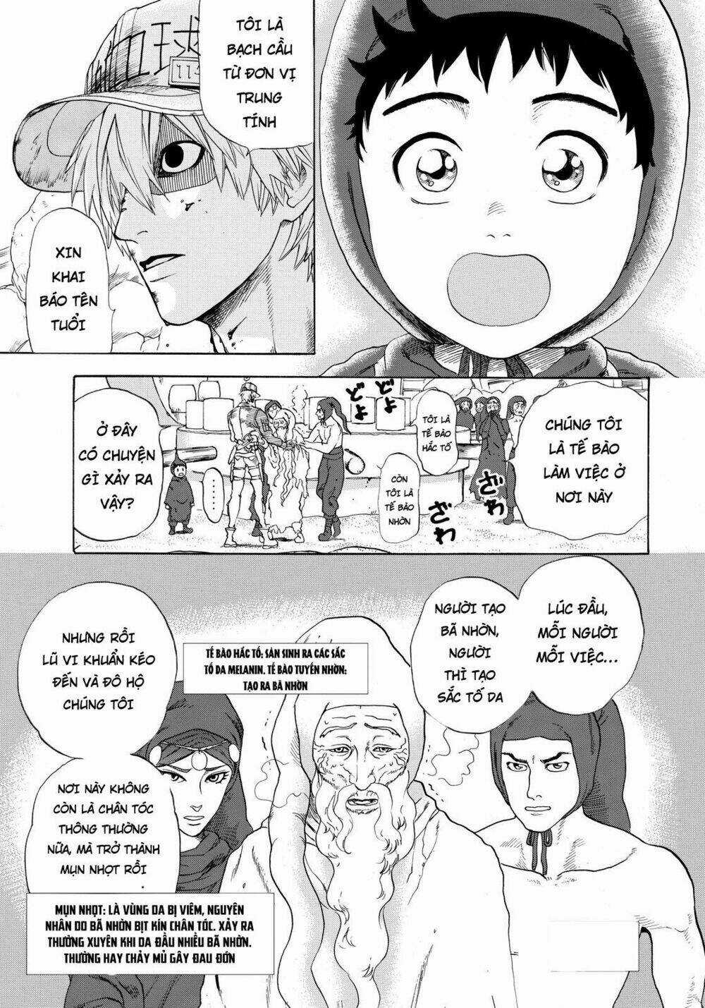 Hataraku Saibou! Chapter 14 trang 4