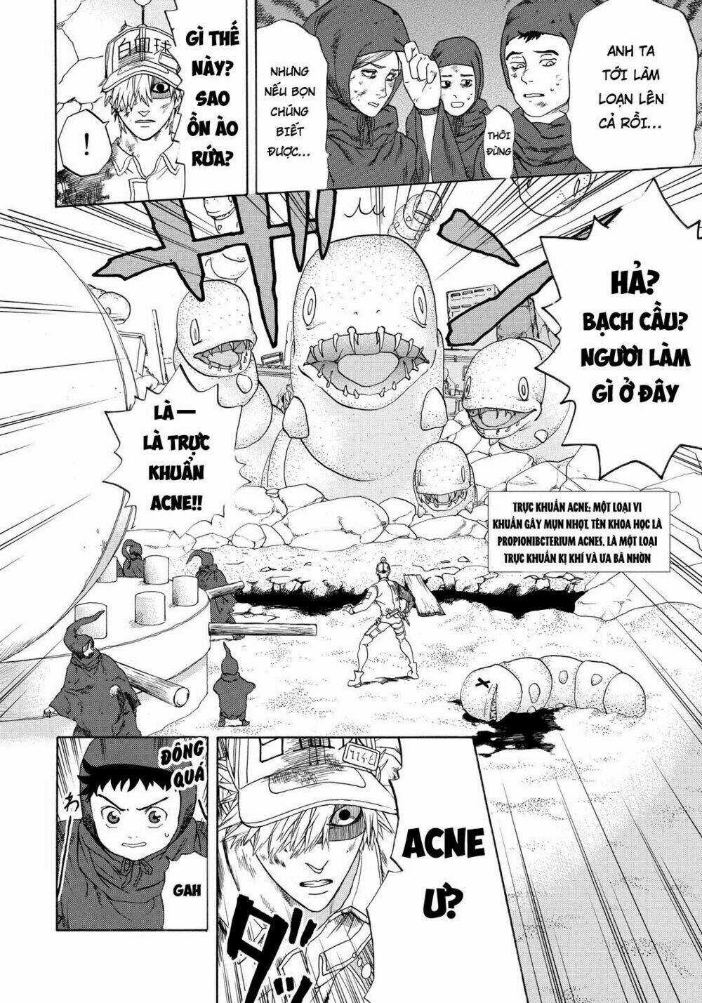 Hataraku Saibou! Chapter 14 trang 5