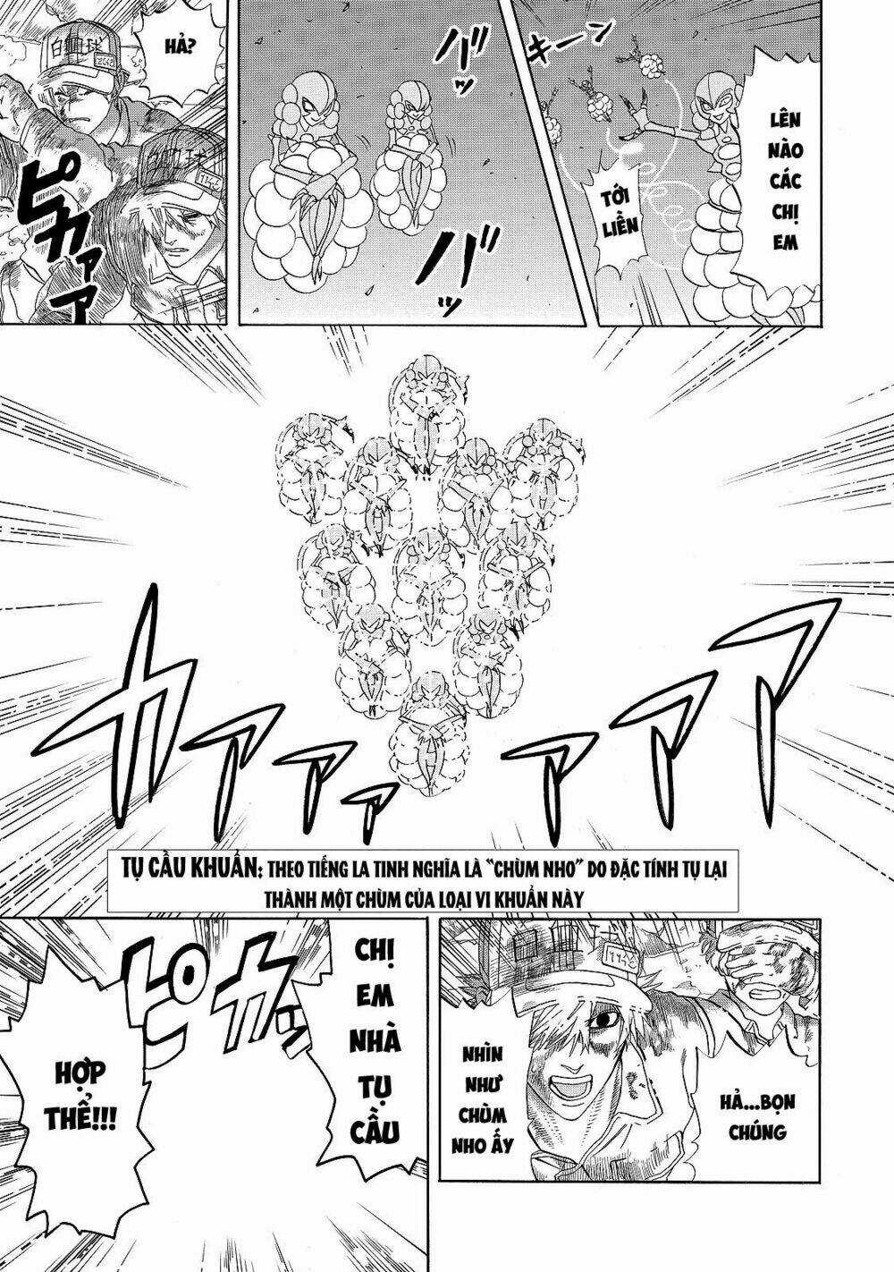 Hataraku Saibou! Chapter 15 trang 11