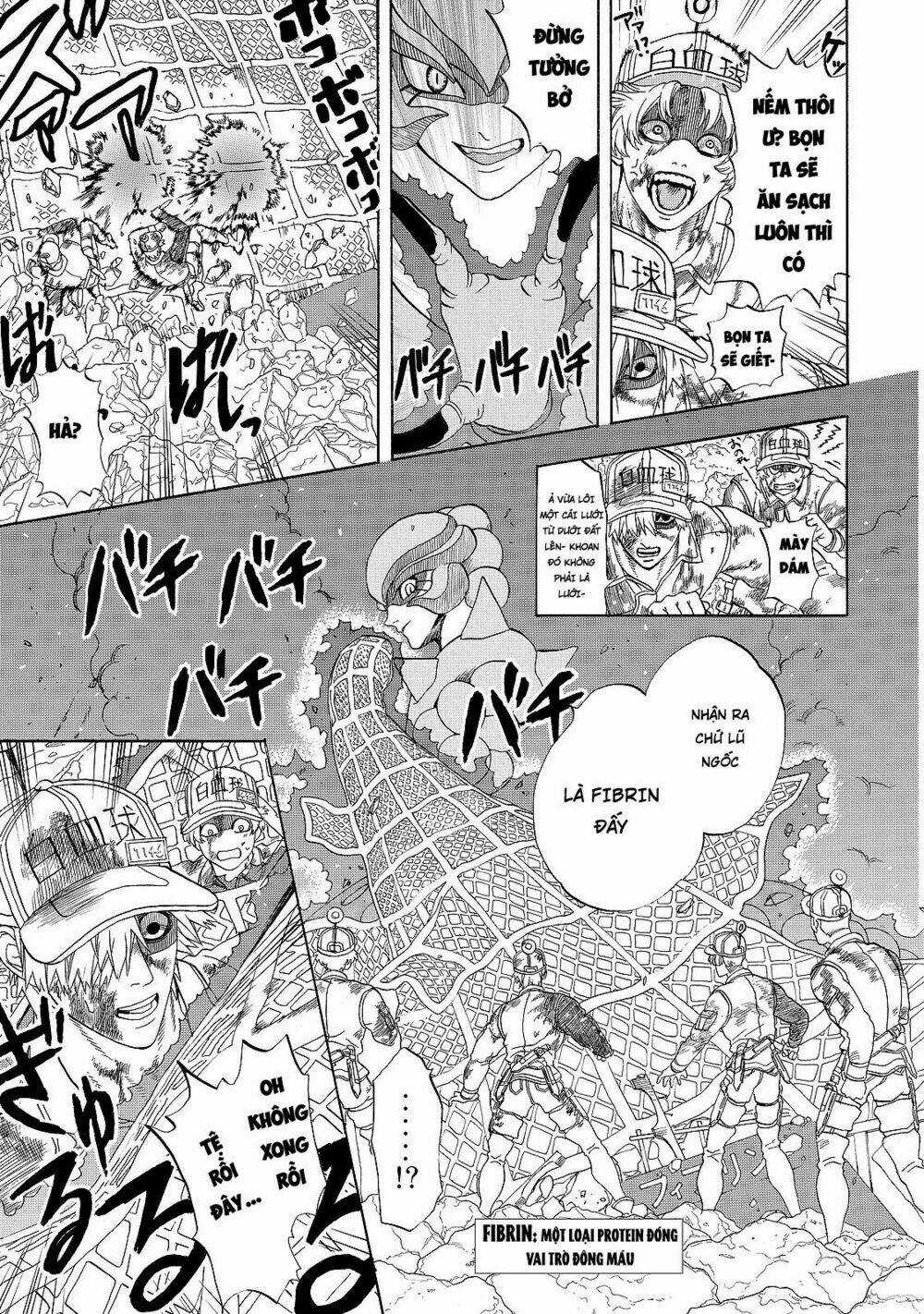 Hataraku Saibou! Chapter 15 trang 13