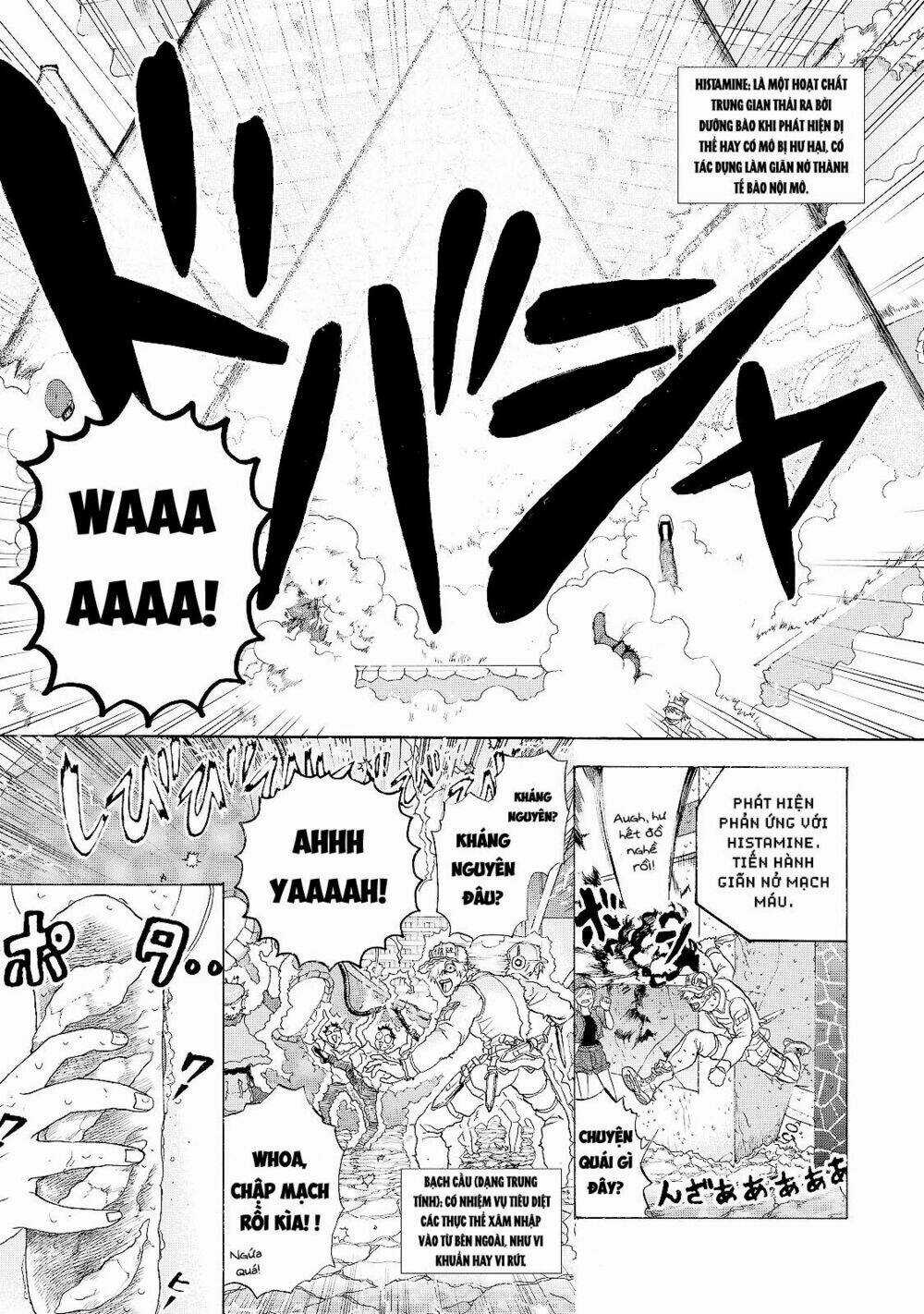 Hataraku Saibou! Chapter 16 trang 2