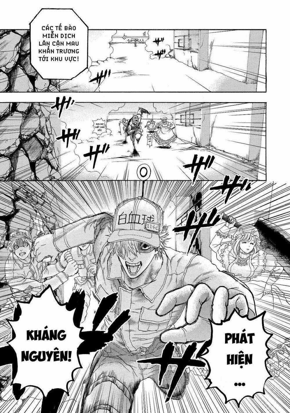 Hataraku Saibou! Chapter 16 trang 24