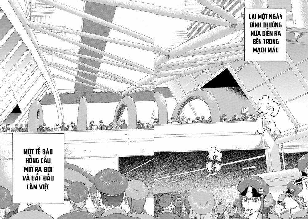 Hataraku Saibou! Chapter 17 trang 12