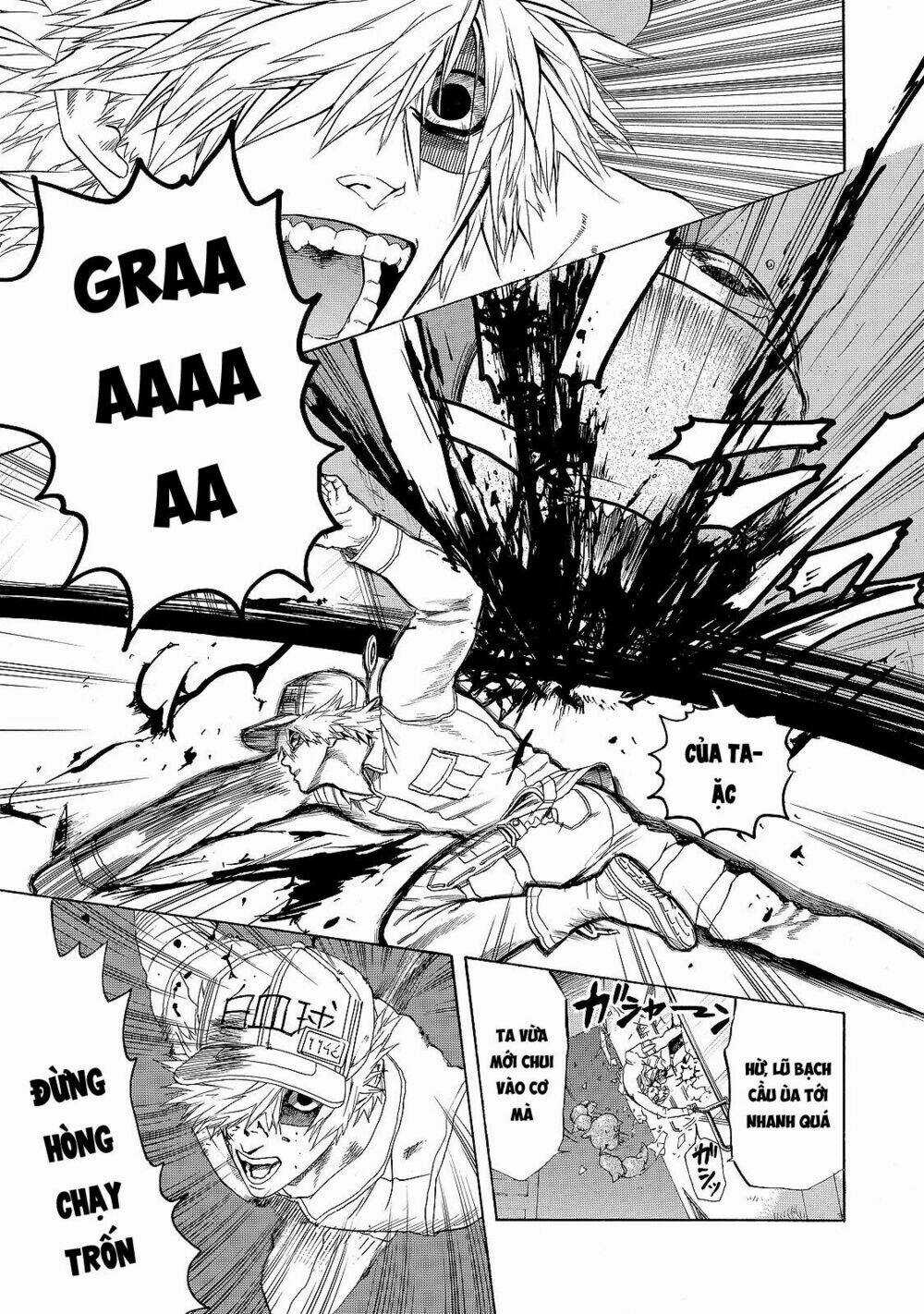 Hataraku Saibou! Chapter 17 trang 20