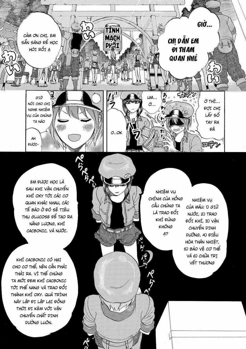 Hataraku Saibou! Chapter 17 trang 4