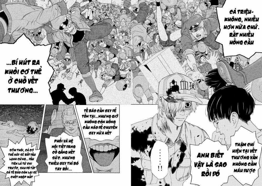 Hataraku Saibou! Chapter 18 trang 2