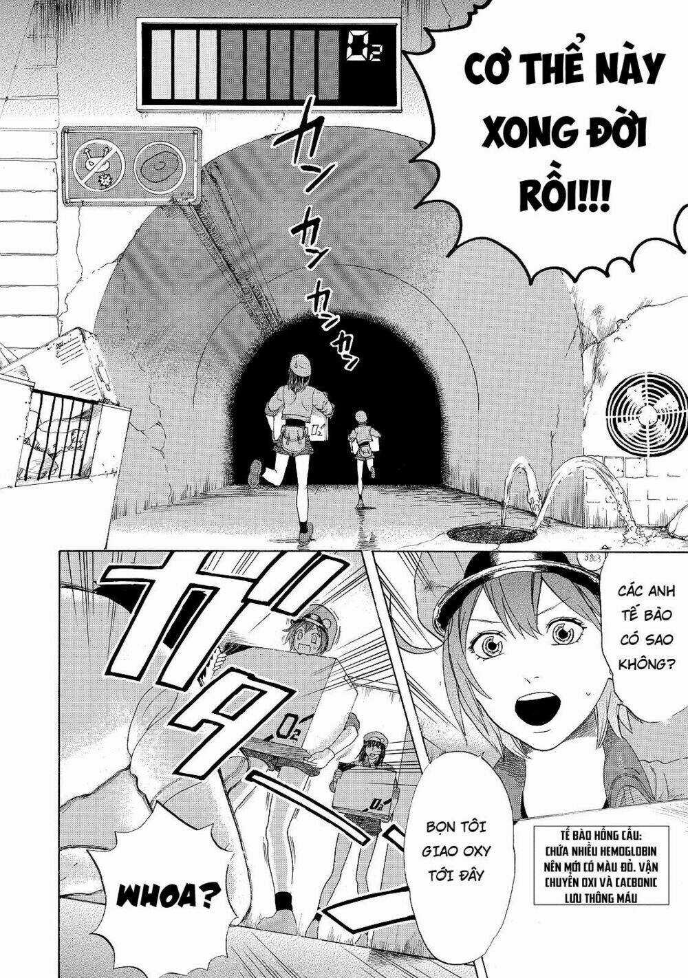 Hataraku Saibou! Chapter 18 trang 3