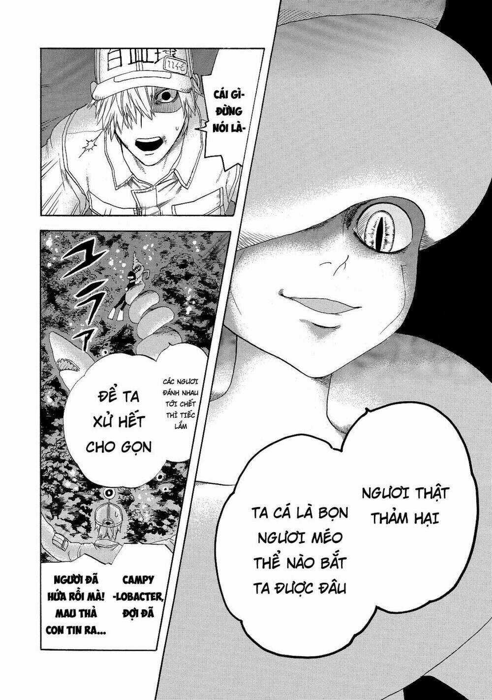 Hataraku Saibou! Chapter 19 trang 13
