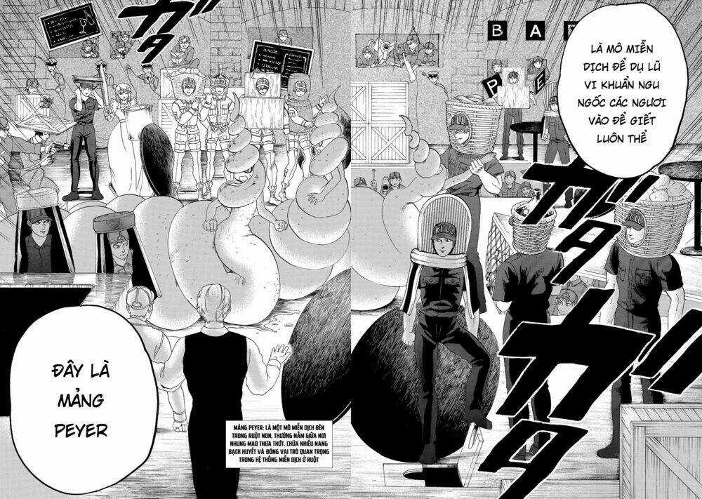 Hataraku Saibou! Chapter 19 trang 25
