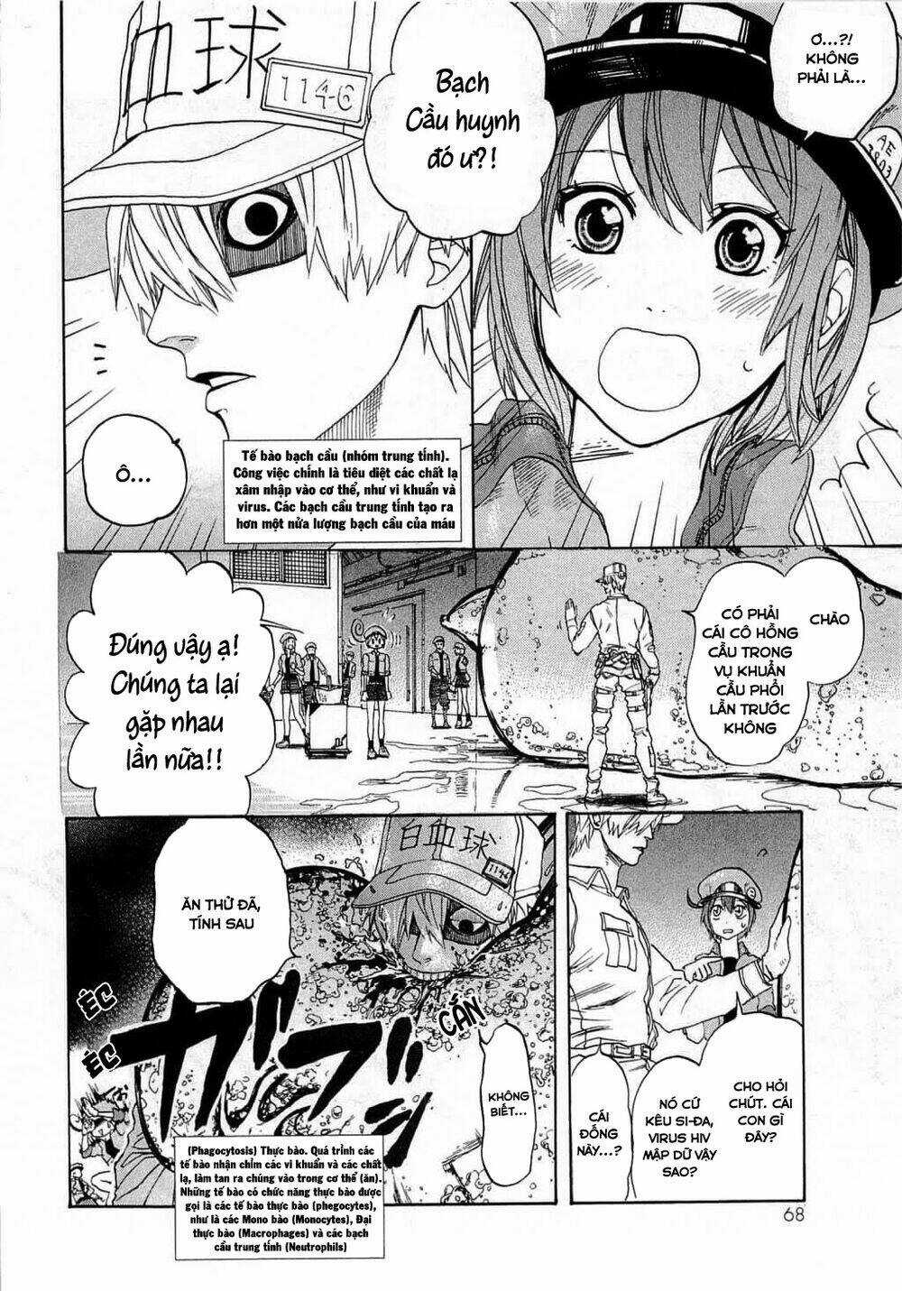 Hataraku Saibou! Chapter 2 trang 10