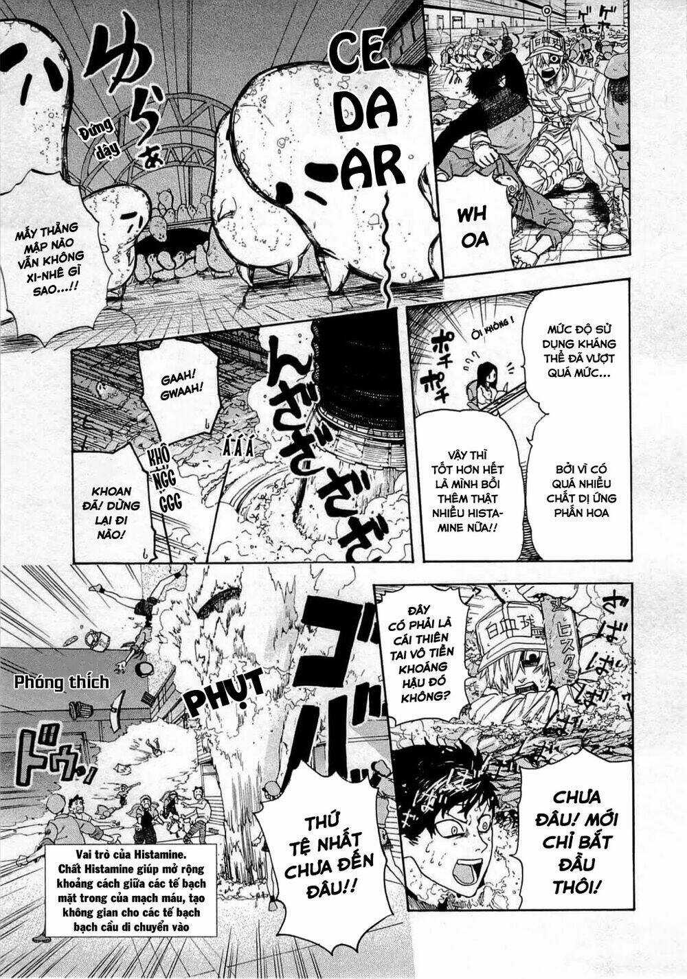 Hataraku Saibou! Chapter 2 trang 23