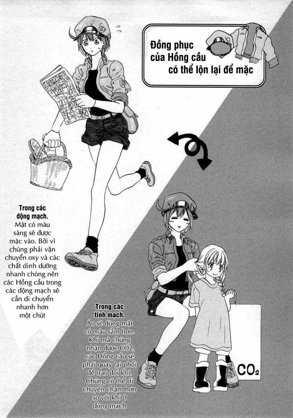 Hataraku Saibou! Chapter 2 trang 43