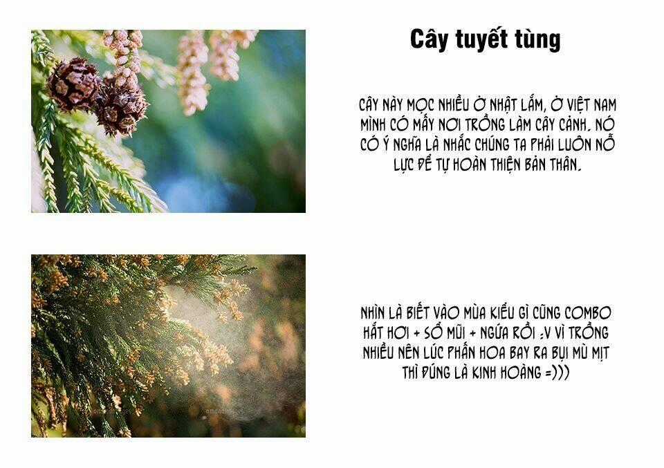 Hataraku Saibou! Chapter 2 trang 44