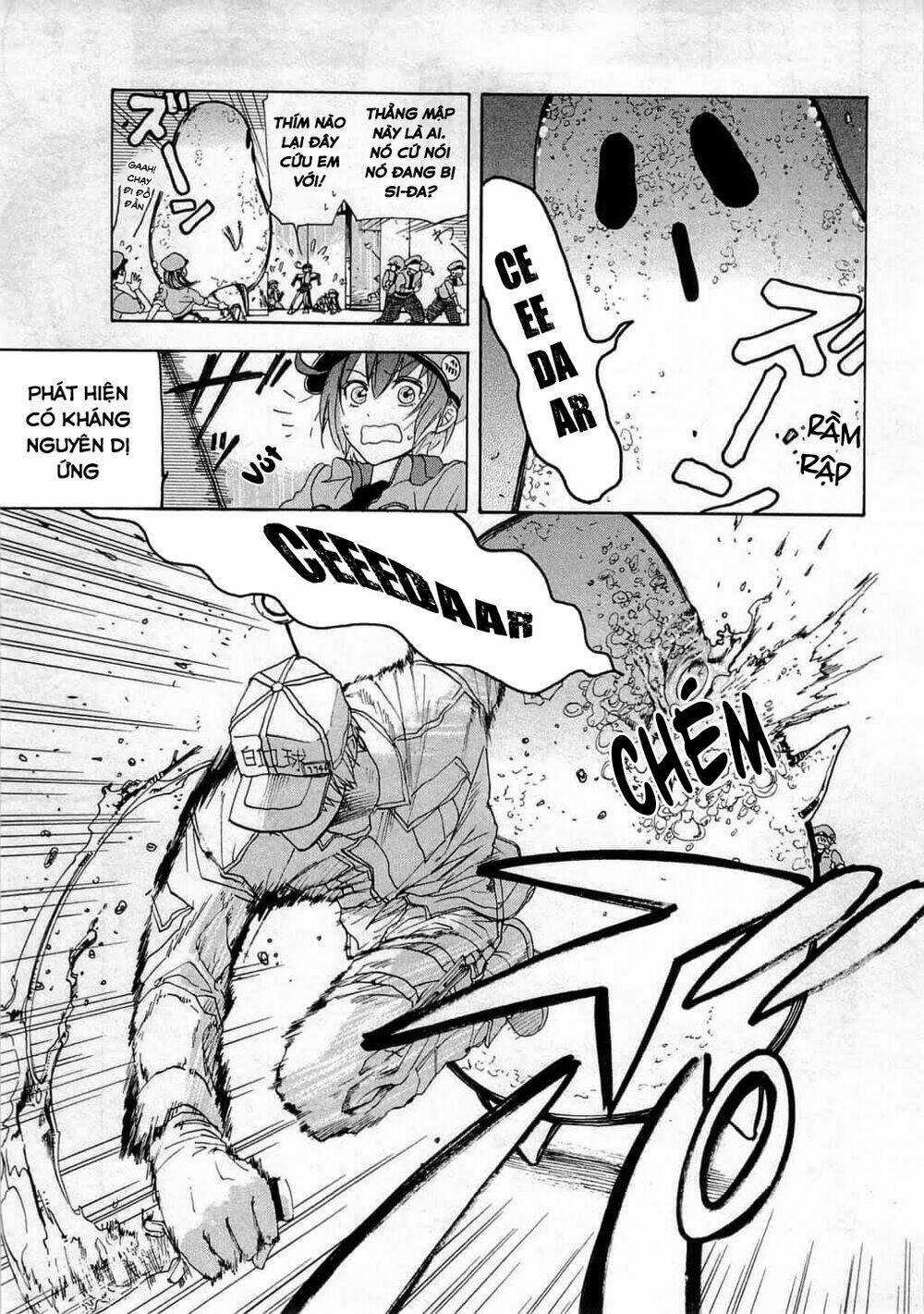 Hataraku Saibou! Chapter 2 trang 9