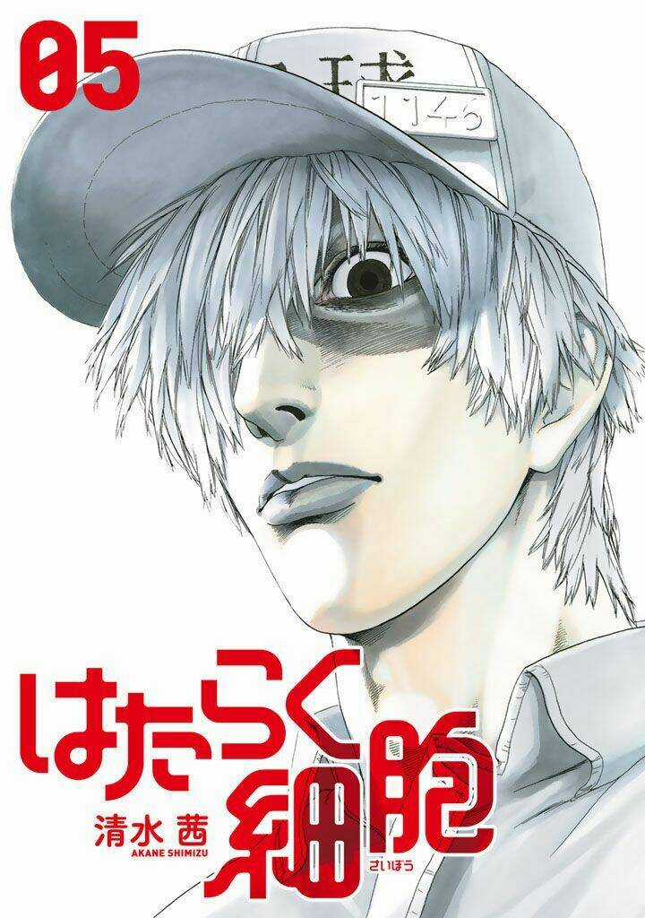 Hataraku Saibou! Chapter 20 trang 2