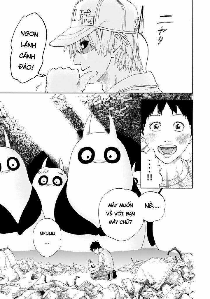 Hataraku Saibou! Chapter 20 trang 41