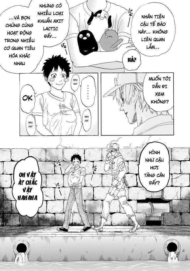 Hataraku Saibou! Chapter 20 trang 43