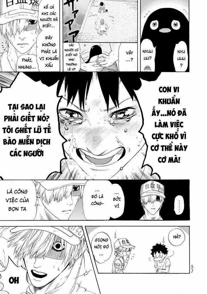 Hataraku Saibou! Chapter 21 trang 12