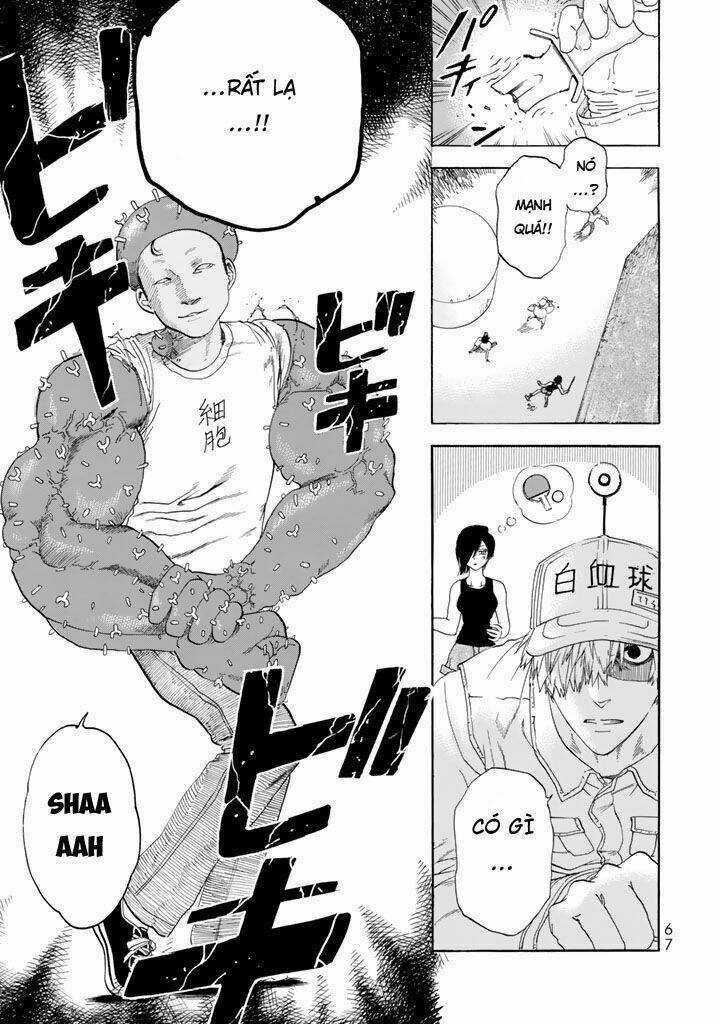 Hataraku Saibou! Chapter 21 trang 22