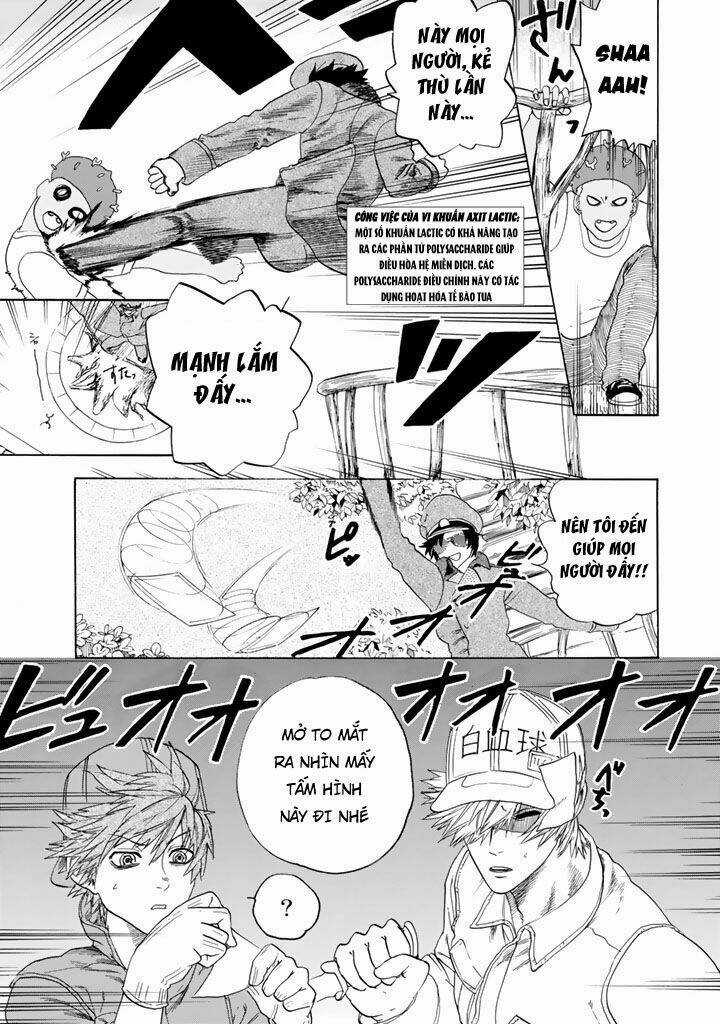 Hataraku Saibou! Chapter 22 trang 14