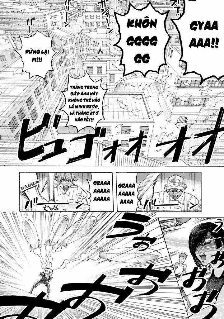 Hataraku Saibou! Chapter 22 trang 19