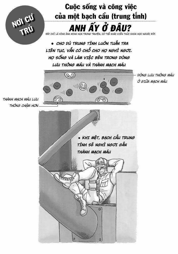 Hataraku Saibou! Chapter 22 trang 30