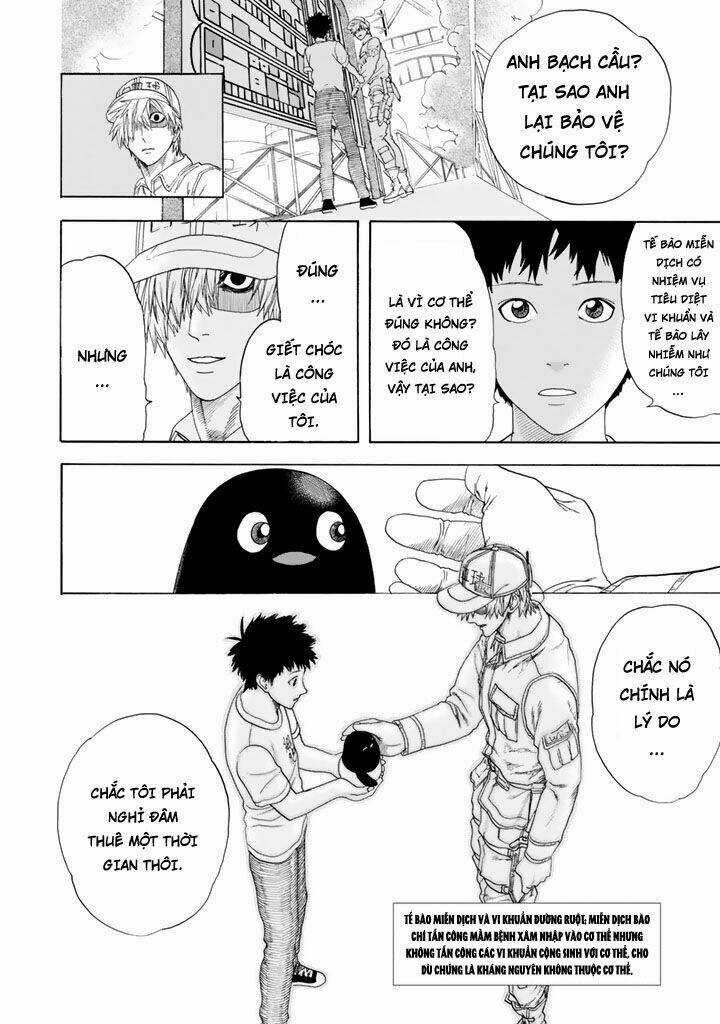 Hataraku Saibou! Chapter 23 trang 11