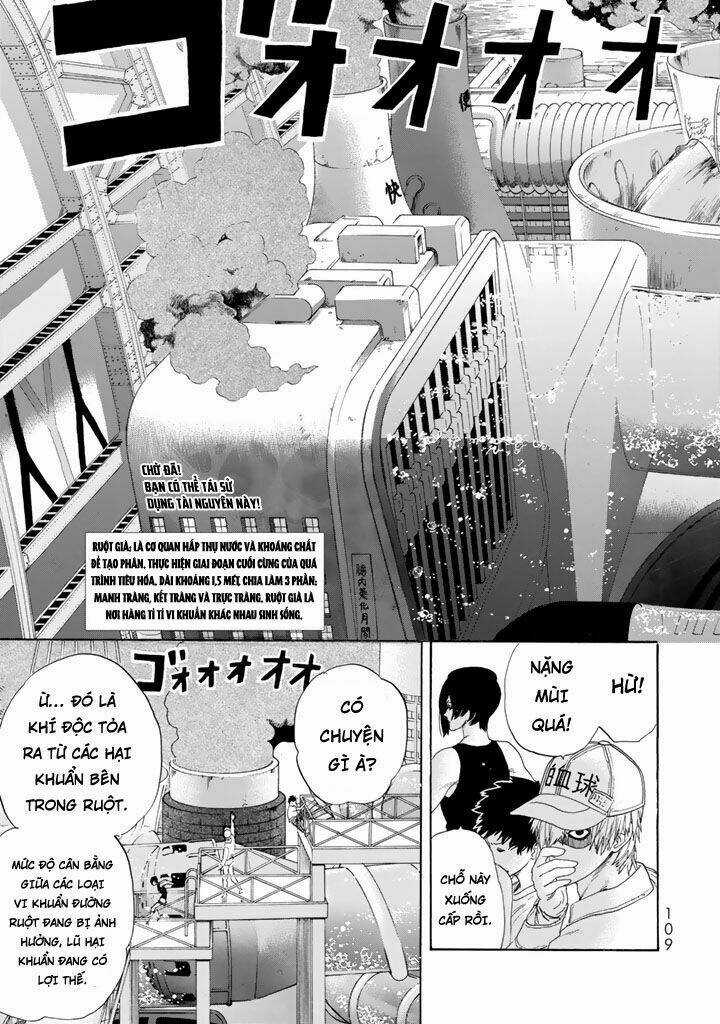 Hataraku Saibou! Chapter 23 trang 2